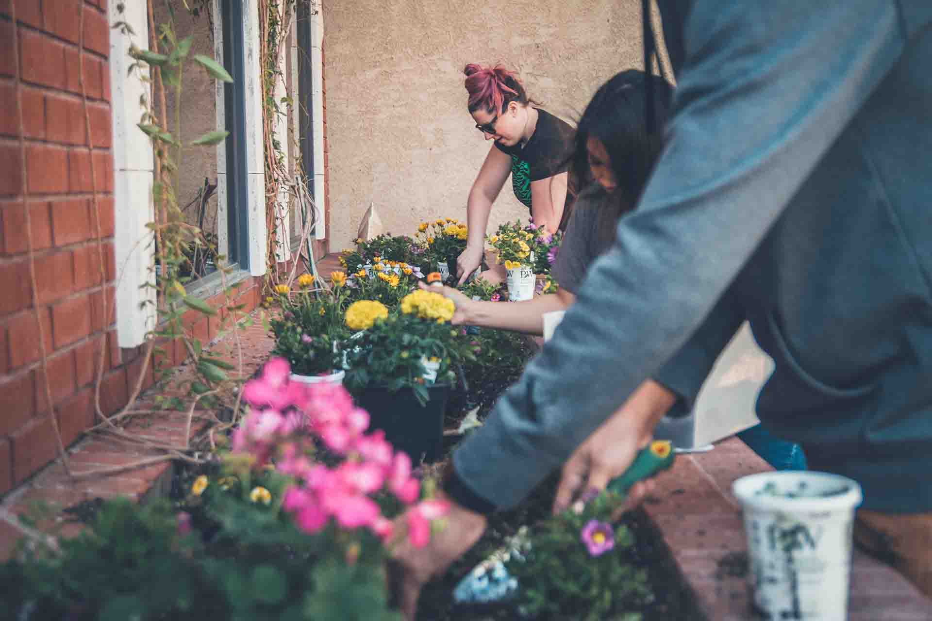Members of the community sorting out plants and flowers together