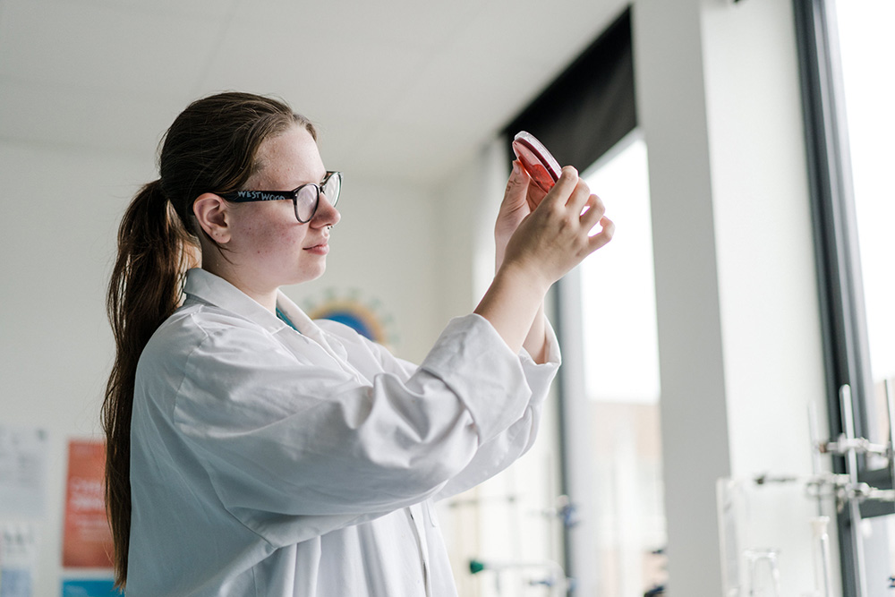 Student in the Science lab at Harrogate College holding a petri dish up to the light to inspect