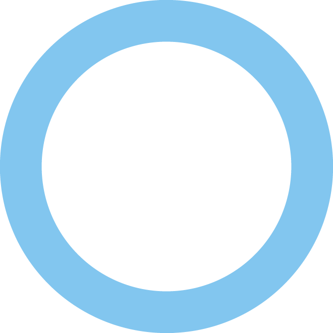 Blue circle icon
